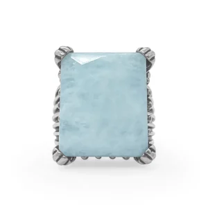 Stephen Dweck Garden of Stephen Faceted Aquamarine Ring in Sterling Silver< Rings